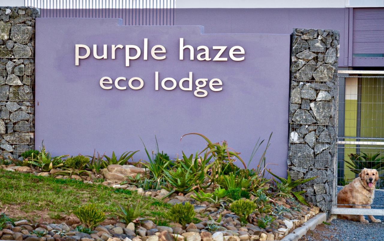 Purple Haze Eco Lodge Chintsa Esterno foto